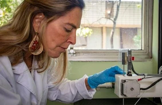 A história e desafios da criadora da polilaminina